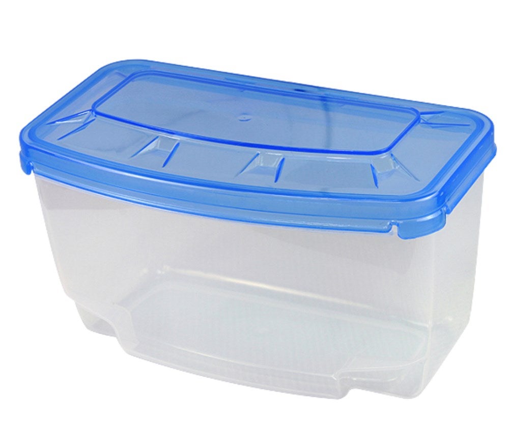 Clear Mask Container | Neptune Spear and Dive